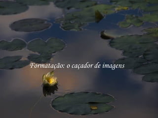 Formatação: o caçador de imagens 