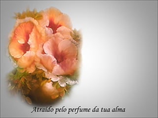 r r Atraído pelo perfume da tua alma 