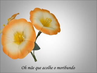 Oh mãe que acolhe o moribundo 