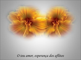 r r O teu amor, esperança dos aflitos 