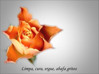 Limpa, cura, ergue, abafa gritos 