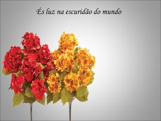 r r És luz na escuridão do mundo  