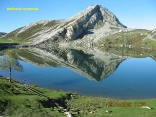 Reflexión especular
 