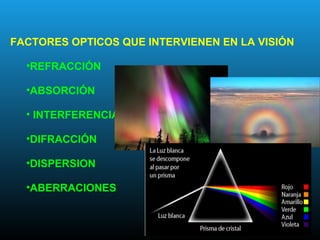 FACTORES OPTICOS QUE INTERVIENEN EN LA VISIÓN
•REFRACCIÓN
•ABSORCIÓN
• INTERFERENCIA
•DIFRACCIÓN
•DISPERSION
•ABERRACIONES
 
