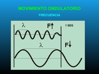 MOVIMIENTO ONDULATORIO
FRECUENCIA
1 SEG
 