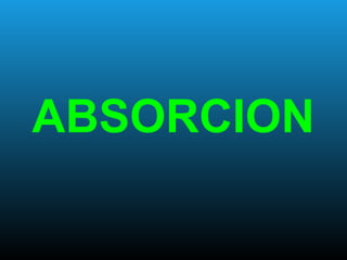ABSORCION
 