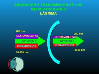 ULTRAVIOLETAS
INFRARROJOS
LUZ VISIBLE
290 nm
3000 nm
INFRARROJOS
ULTRAVIOLETAS
LUZ VISIBLE
200 nm
10 000 nm
ABSORCIÓN Y TRANSMISICON DE LOS
MEDIOS OCULARES
LÁGRIMA
 