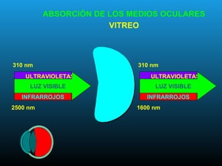 ULTRAVIOLETAS
INFRARROJOS
LUZ VISIBLE
310 nm
2500 nm
ULTRAVIOLETAS
INFRARROJOS
LUZ VISIBLE
310 nm
1600 nm
ABSORCIÓN DE LOS MEDIOS OCULARES
VITREO
 
