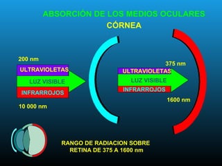 ULTRAVIOLETAS
INFRARROJOS
LUZ VISIBLE
375 nm
1600 nm
INFRARROJOS
ULTRAVIOLETAS
LUZ VISIBLE
200 nm
10 000 nm
RANGO DE RADIACION SOBRE
RETINA DE 375 A 1600 nm
ABSORCIÓN DE LOS MEDIOS OCULARES
CÓRNEA
 