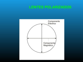 LENTES POLARIZADOS
 