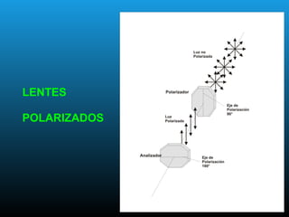 LENTES
POLARIZADOS
 