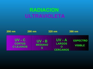 RADIACION
ULTRAVIOLETA
200 nm 290 nm 320 nm 390 nm
UV - C
CORTOS
O LEJANOS
UV - B
MEDIANO
S
UV - A
LARGOS
O
CERCANOS
ESPECTRO
VISIBLE
 