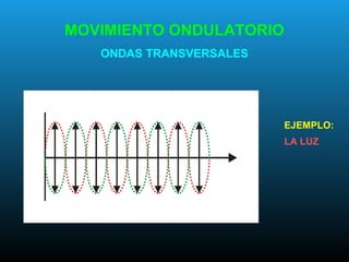 MOVIMIENTO ONDULATORIO
ONDAS TRANSVERSALES
EJEMPLO:
LA LUZ
 