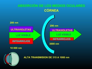 ULTRAVIOLETAS
INFRARROJOS
LUZ VISIBLE
290 nm
3000 nm
INFRARROJOS
ULTRAVIOLETAS
LUZ VISIBLE
200 nm
10 000 nm
ALTA TRANSMISION DE 315 A 1000 nm
ABSORCIÓN DE LOS MEDIOS OCULARES
CÓRNEA
 