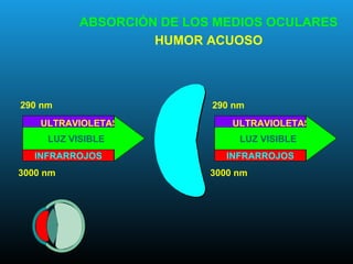 ULTRAVIOLETAS
INFRARROJOS
LUZ VISIBLE
290 nm
3000 nm
ULTRAVIOLETAS
INFRARROJOS
LUZ VISIBLE
290 nm
3000 nm
ABSORCIÓN DE LOS MEDIOS OCULARES
HUMOR ACUOSO
 