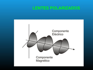 LENTES POLARIZADOS
 