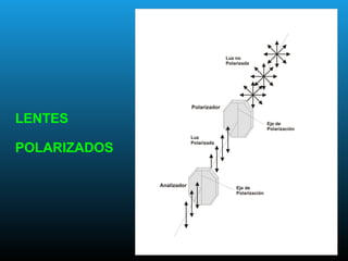 LENTES
POLARIZADOS
 