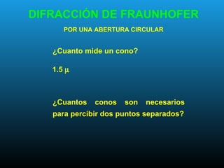 DIFRACCIÓN DE FRAUNHOFER
POR UNA ABERTURA CIRCULAR
¿Cuantos conos son necesarios
para percibir dos puntos separados?
¿Cuanto mide un cono?
1.5 µ
 