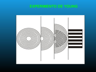 EXPERIMENTO DE YOUNG
 