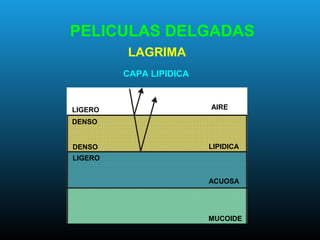 PELICULAS DELGADAS
LIGERO
DENSO
DENSO
LIGERO
LIPIDICA
ACUOSA
MUCOIDE
AIRE
CAPA LIPIDICA
LAGRIMA
 