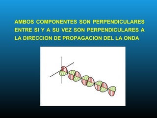 AMBOS COMPONENTES SON PERPENDICULARES
ENTRE SI Y A SU VEZ SON PERPENDICULARES A
LA DIRECCION DE PROPAGACION DEL LA ONDA
 