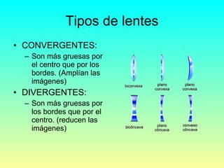 Tipos de lentes CONVERGENTES: Son más gruesas por el centro que por los bordes. (Amplían las imágenes) DIVERGENTES: Son más gruesas por los bordes que por el centro. (reducen las imágenes) 