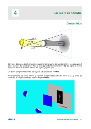 La luz y el sonido
Contenidos
Se trazan dos rayos desde el extremo superior de la fuente de luz (bombilla): uno pasa por el
borde superior del objeto (rayo A) y el otro, por el borde inferior (rayo B). Se repite la misma
operación desde el extremo inferior del objeto (rayos C y D).
Las zonas comprendidas entre los rayos A y D estarán en sombra.
Por el contrario las zonas inferior y superior, comprendidas entre los rayos C y A y entre los
rayos D y B, respectivamente, estarán en penumbra.
Ciencias de la Naturaleza 4 . 29
4
 