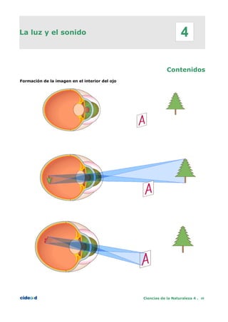 La luz y el sonido
Contenidos
Formación de la imagen en el interior del ojo
Ciencias de la Naturaleza 4 . 48
4
 
