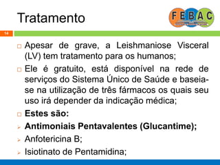 Tratamento
14
 Apesar de grave, a Leishmaniose Visceral
(LV) tem tratamento para os humanos;
 Ele é gratuito, está disponível na rede de
serviços do Sistema Único de Saúde e baseia-
se na utilização de três fármacos os quais seu
uso irá depender da indicação médica;
 Estes são:
 Antimoniais Pentavalentes (Glucantime);
 Anfotericina B;
 Isiotinato de Pentamidina;
 