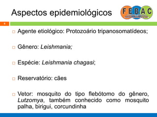 Aspectos epidemiológicos
 Agente etiológico: Protozoário tripanosomatídeos;
 Gênero: Leishmania;
 Espécie: Leishmania chagasi;
 Reservatório: cães
 Vetor: mosquito do tipo flebótomo do gênero,
Lutzomya, também conhecido como mosquito
palha, birigui, corcundinha
4
 