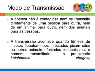 Modo de Transmissão
5
 A doença não é contagiosa nem se transmite
diretamente de uma pessoa para outra, nem
de um animal para outro, nem dos animais
para as pessoas;
 A transmissão acontece quando fêmeas de
insetos flebotomíneos infectados picam cães
ou outros animais infectados e depois pica o
homem transmitindo o protozoário
Leishmania chagasi;
 