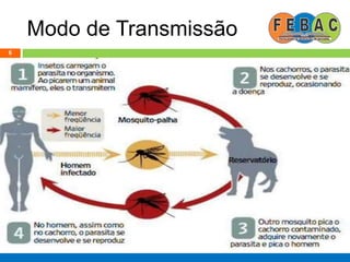 Modo de Transmissão
6
 