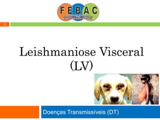 Doenças Transmissíveis (DT)
1
Leishmaniose Visceral
(LV)
 
