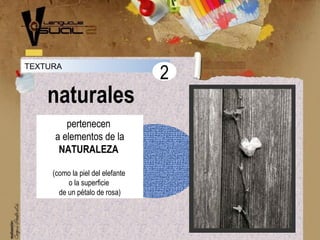 TEXTURA
naturales
2
pertenecen
a elementos de la
NATURALEZA
(como la piel del elefante
o la superficie
de un pétalo de rosa)
 