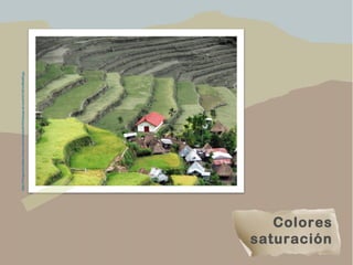 Colores
saturación
https://101lugaresincreibles.com/wp-content/uploads/2012/01/paisajes-de-monta%C3%B1a-800x600.jpg
 