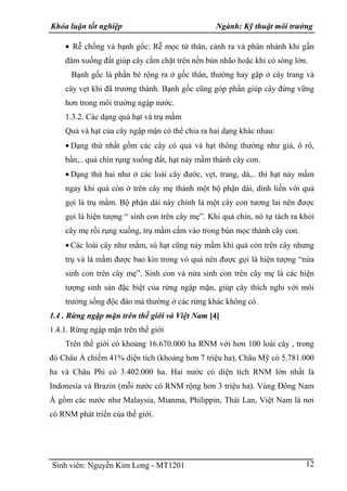 Khóa luận tốt nghiệp Ngành: Kỹ thuật môi trường
Sinh viên: Nguyễn Kim Long - MT1201 12
Rễ chống và bạnh gốc: Rễ mọc từ thâ...