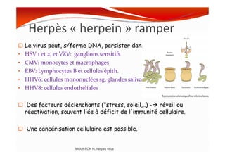 Le virus peut, s/forme DNA, persister dans certaines cellules:
• HSV 1 et 2, et VZV: ganglions sensitifs
• CMV: monocytes et macrophages
• EBV: Lymphocytes B et cellules épith.
• HHV6: cellules mononuclées sg, glandes salivaires
Herpès « herpein » ramper
• HHV6: cellules mononuclées sg, glandes salivaires
• HHV8: cellules endothéliales
Des facteurs déclenchants ("stress, soleil,..) - réveil ou
réactivation, souvent liée à déficit de l'immunité cellulaire.
Une cancérisation cellulaire est possible.
MOUFFOK N, herpes virus
 