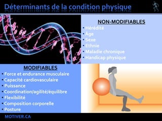MOTIVER.CA
NON-MODIFIABLES
• Hérédité
• Âge
• Sexe
• Ethnie
• Maladie chronique
• Handicap physique
MODIFIABLES
• Force et endurance musculaire
• Capacité cardiovasculaire
• Puissance
• Coordination/agilité/équilibre
• Flexibilité
• Composition corporelle
• Posture
 