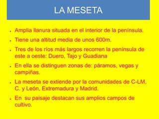 LA MESETA
●

Amplia llanura situada en el interior de la península.

●

Tiene una altitud media de unos 600m.

●

●

●

●

Tres de los ríos más largos recorren la península de
este a oeste: Duero, Tajo y Guadiana
En ella se distinguen zonas de: páramos, vegas y
campiñas.

La meseta se extiende por la comunidades de C-LM,
C. y León, Extremadura y Madrid.
En su paisaje destacan sus amplios campos de
cultivo.

 