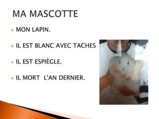  MON LAPIN.
IL EST BLANC AVEC TACHES
IL EST ESPIÈGLE.
IL MORT L'AN DERNIER.
