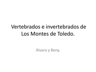 Vertebrados e invertebrados de
Los Montes de Toledo.
Álvaro y Beny.
 