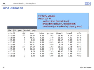 IBM    Live Virtual Class – Linux on System z


CPU utilization

                                                Per CPU values:
                                                watch out for
                                                    system time (kernel time)
                                                    iowait time (slow I/O subsystem)
                                                    steal time (time taken by other guests)




12                                                                                      © 2011 IBM Corporation
 