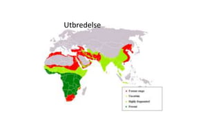 Utbredelse 

