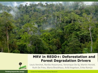 MRV in REDD+: Deforestation and
      Forest Degradation Drivers
Louis Verchot, Noriko Hosonuma, Veronique De Sy, Martin Herold,
  Ruth De Fries, Maria Brockhaus, Arild Angelsen, Erika Romijn
 