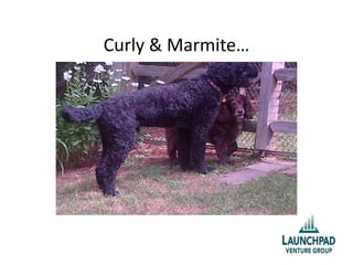 Curly & Marmite…
 