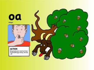 Flashcards and posters oa