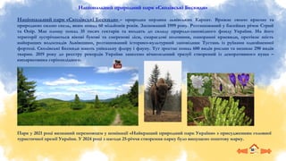 Національний природний парк «Сколівські Бескиди»
Національний парк «Сколівські Бескиди» – природна перлина львівських Карпат. Вражає своєю красою та
природною силою скель, яким понад 60 мільйонів років. Заснований 1999 року. Розташований у басейнах річок Стрий
та Опір. Має площу понад 35 тисяч гектарів та входить до складу природо-заповідного фонду України. На його
території зустрічаються вікові букові та смерекові ліси, смарагдові полонини, панорамні краєвиди, протікає шість
найкращих водоспадів Львівщини, розташований історико-культурний заповідник Тустань із руїнами однойменної
фортеці. Сколівські Бескиди мають унікальну флору і фауну. Тут зростає понад 600 видів рослин та мешкає 290 видів
тварин. 2019 року до реєстру рекордів України занесено вічнозелений тризуб створений із декоративного куща –
кипарисовика горіхоплідного.
Парк у 2021 році визнаний переможцем у номінації «Найкращий природний парк України» з присудженням головної
туристичної премії України. У 2024 році з нагоди 25-річчя створення парку було випущено поштову марку.
 
