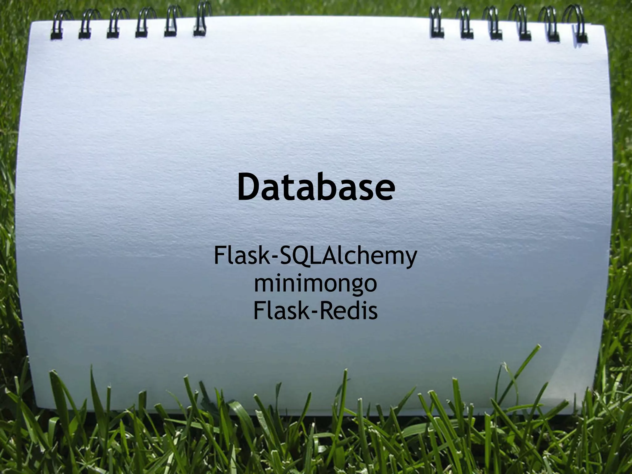 Database
Flask-SQLAlchemy
    minimongo
    Flask-Redis
 