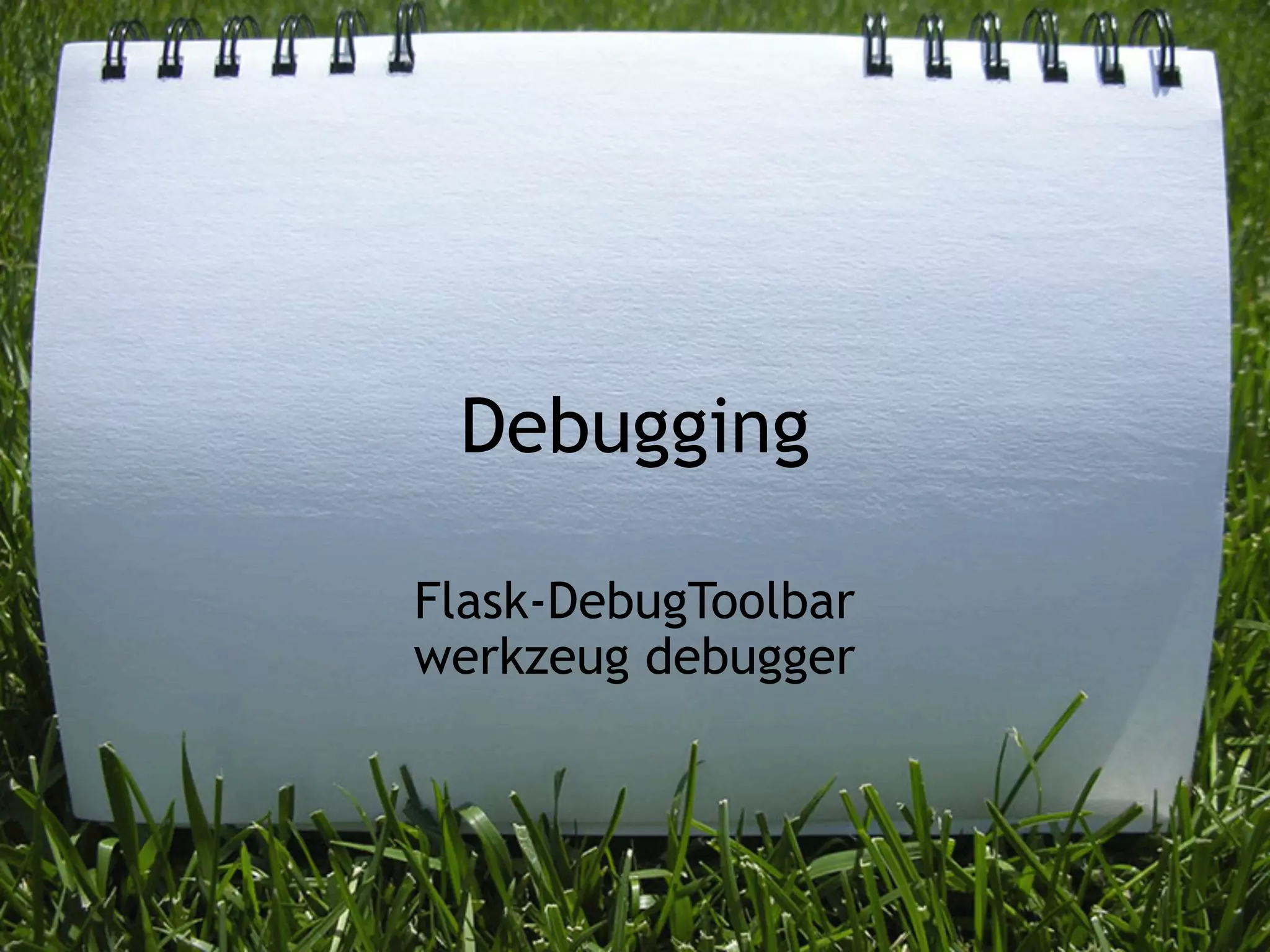 Debugging

Flask-DebugToolbar
werkzeug debugger
 