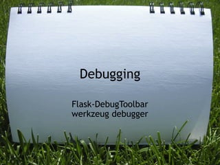 Debugging

Flask-DebugToolbar
werkzeug debugger
 